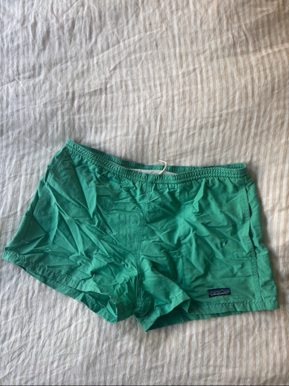 Patagonia Men's Swim trunks, vintage